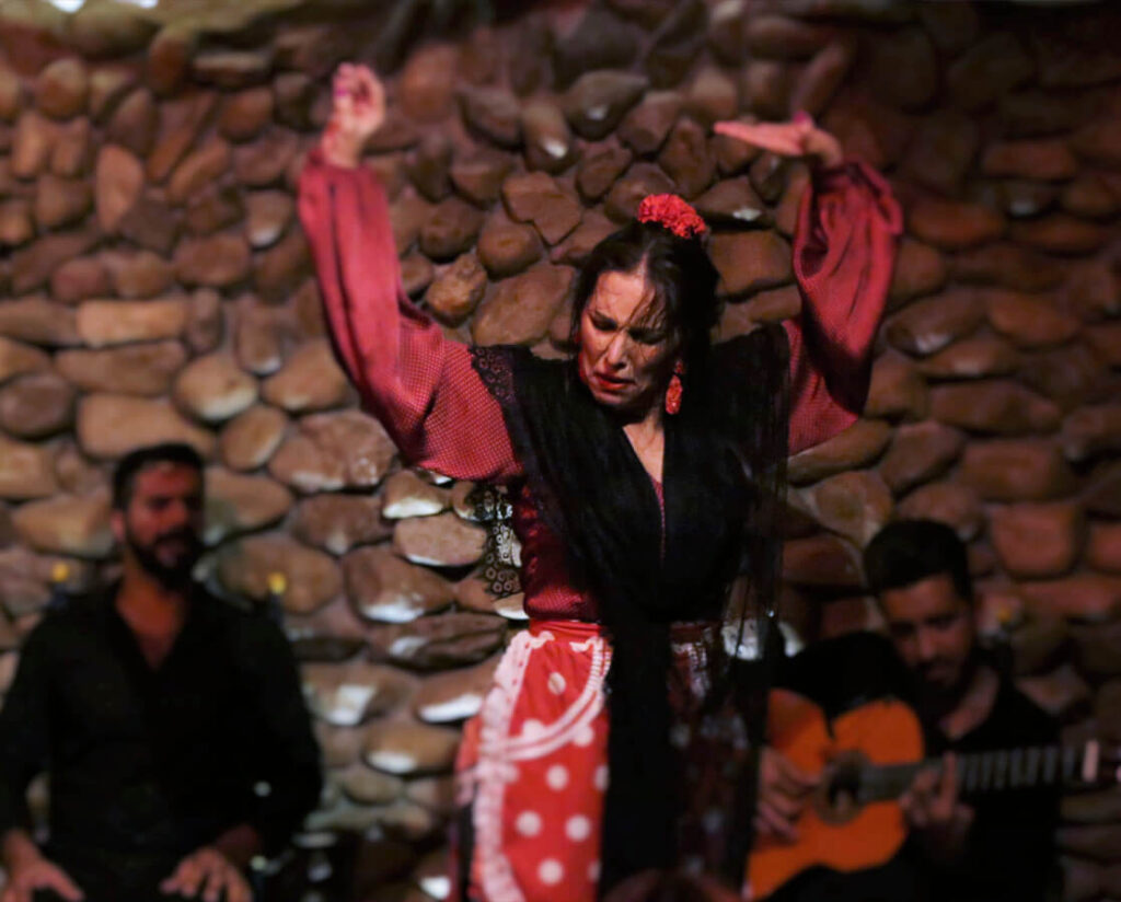 espectáculo flamenco el gallo ronco